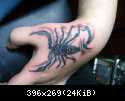 tatoo7